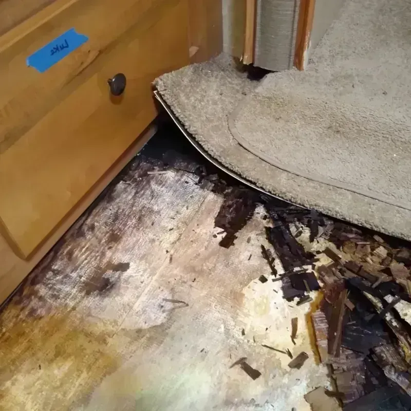 Best Wood Floor Water Damage Service in Homosassa Springs, FL